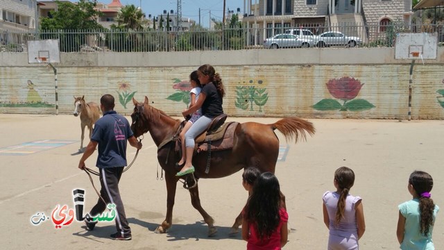 كفرقاسم - فيديو  : تعليم هواية ركوب الخيل في مدرسة جنة ابن رشد في اليوم الرابع لصيف الصادقة 